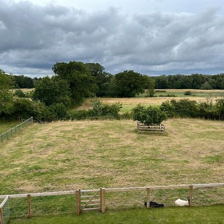A Newly Renovated, Cosy Escape In The Beautiful Shepherd'S Cottage Dereham Eksteriør billede